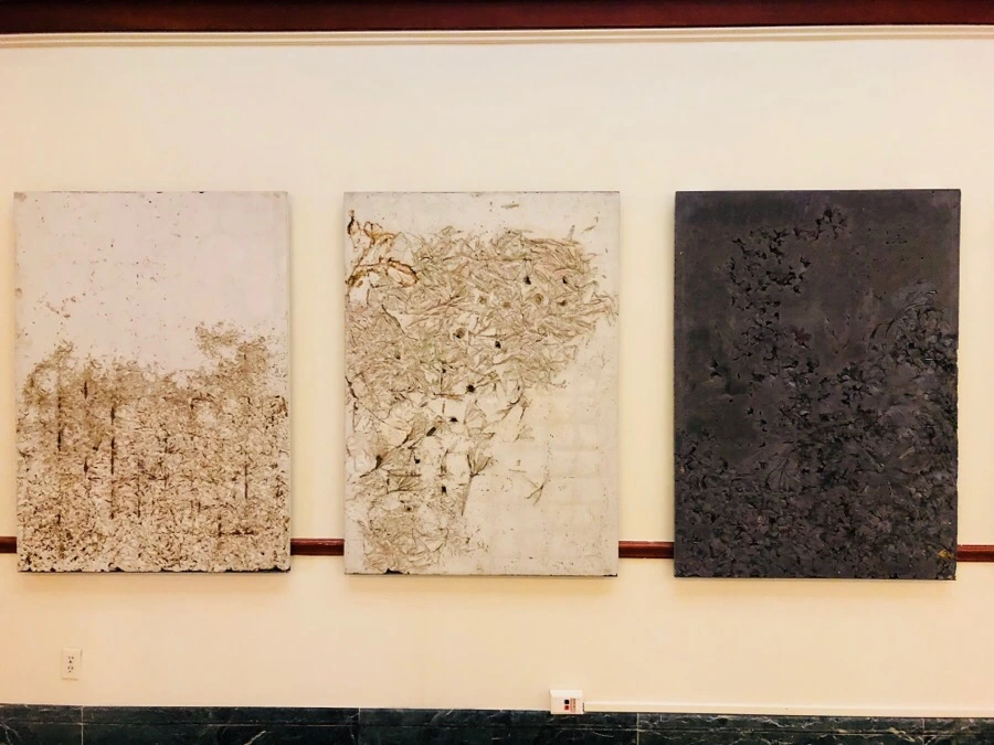 IMG_5619.jpg?type=w966