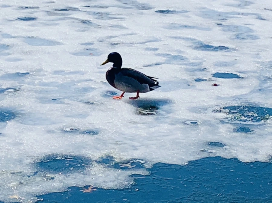 IMG_6883.jpg?type=w966