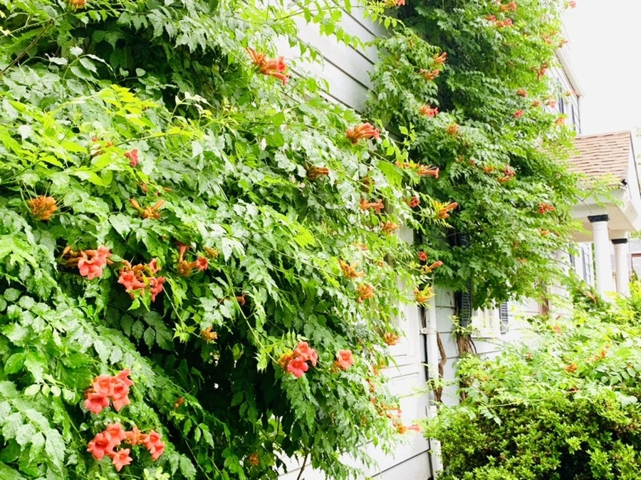 QeNSrDv1UZKxMwQRwXtdtqJaGIQ