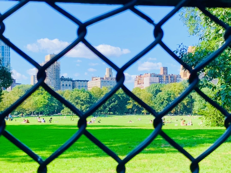 IMG_9658.jpg?type=w966