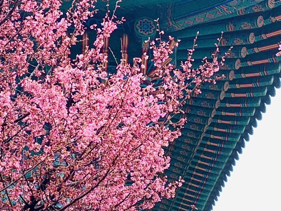 IMG_5250.jpg?type=w966