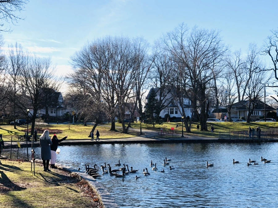 IMG_9271.jpg?type=w966