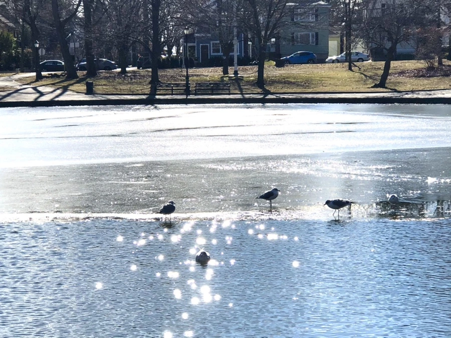 IMG_6790.jpg?type=w966