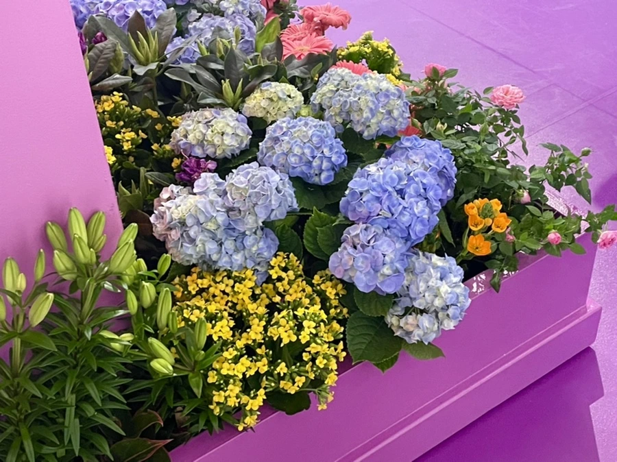 IMG_7615.jpg?type=w966