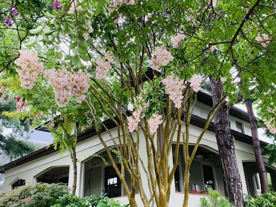 IMG_3788.jpg?type=w966