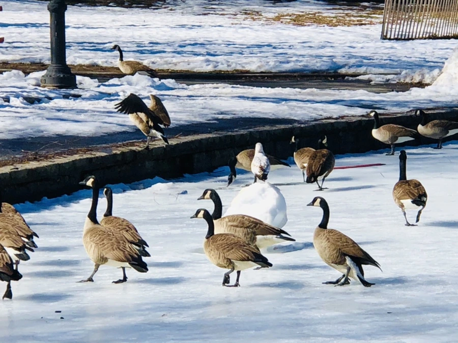 IMG_4848.jpg?type=w966