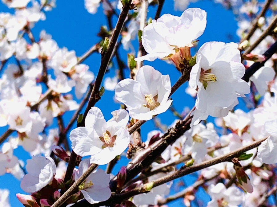 IMG_7645.jpg?type=w966