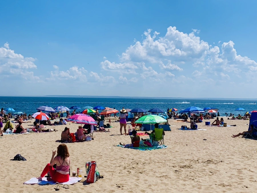 IMG_8830.jpg?type=w966