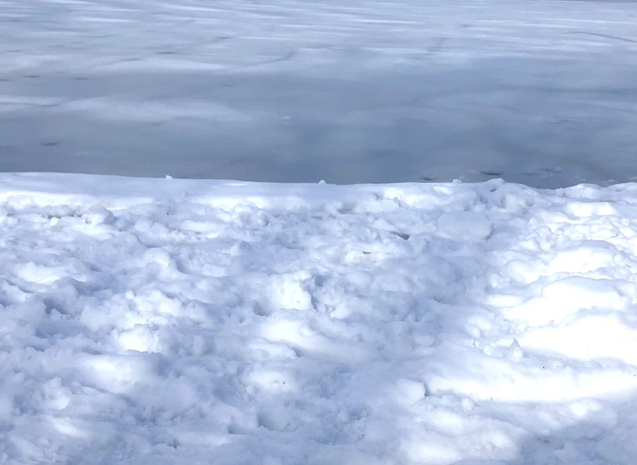 IMG_0129.jpg?type=w966