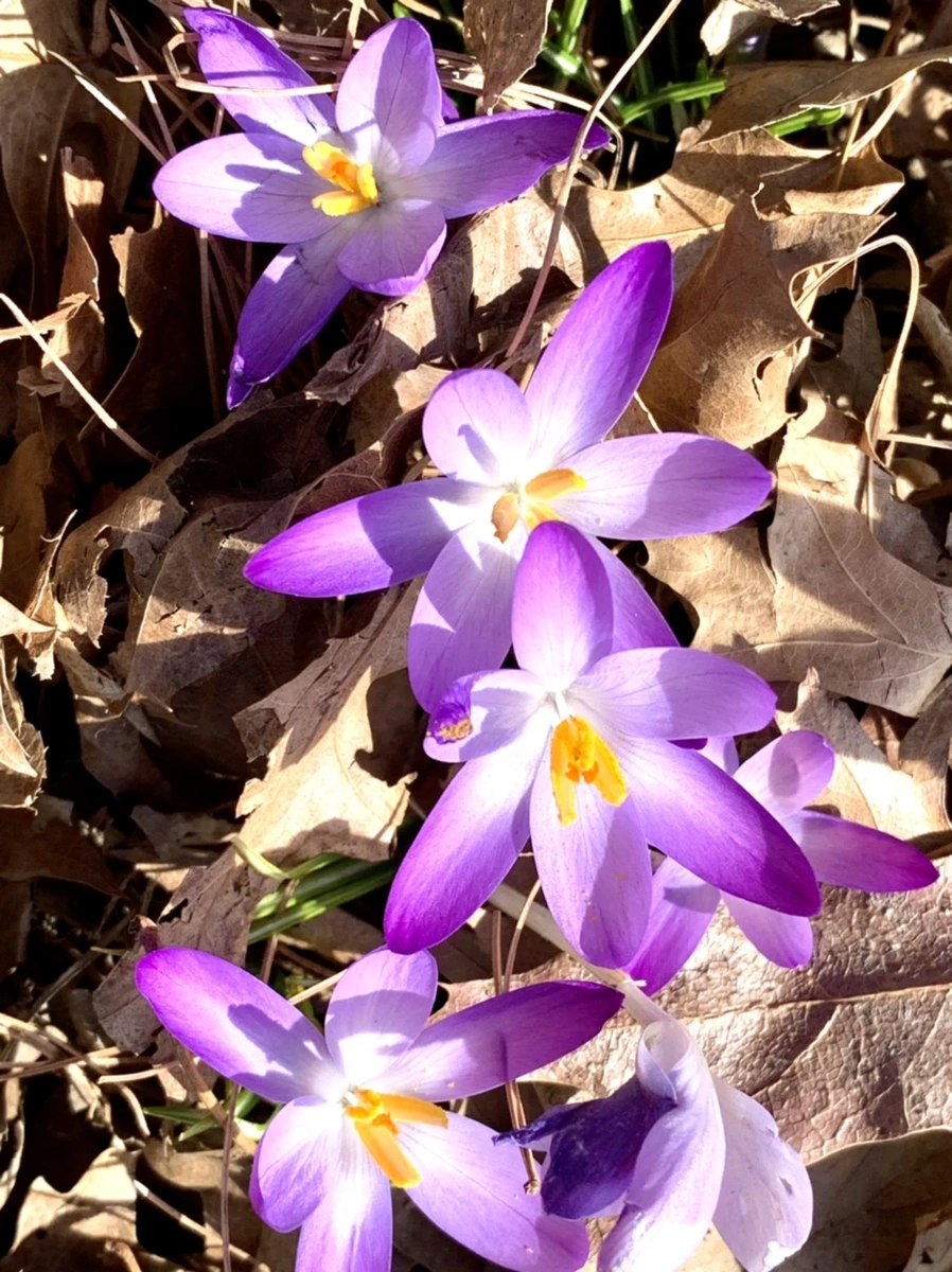 IMG_9626.jpg?type=w966