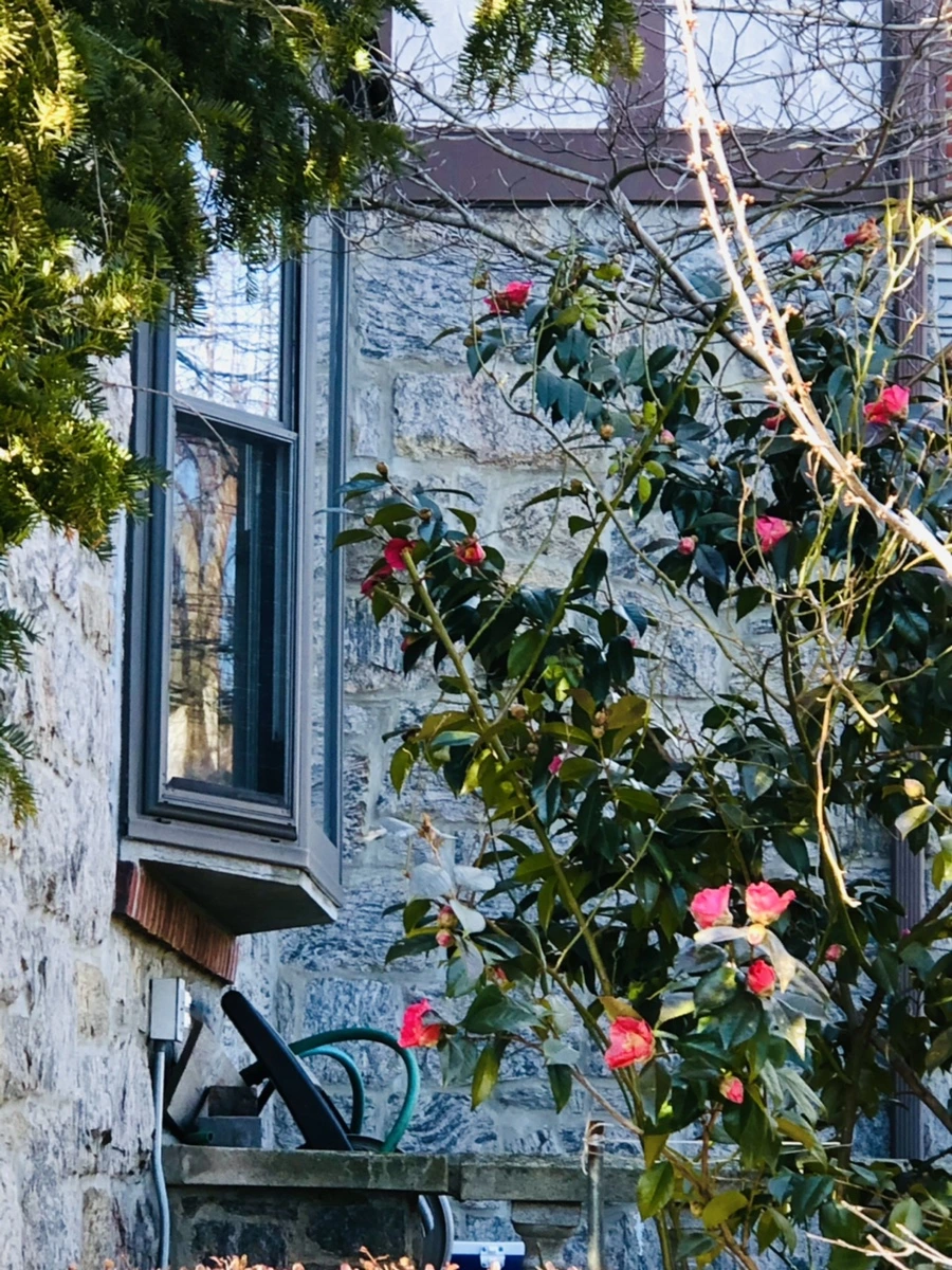 IMG_1874.jpg?type=w966