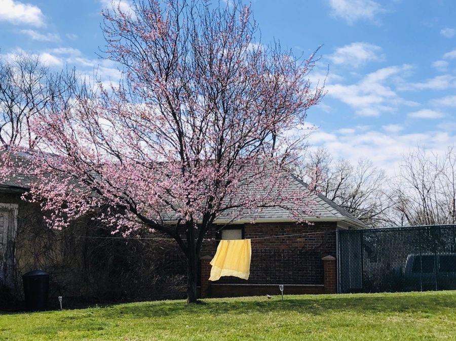 IMG_6603.jpg?type=w966