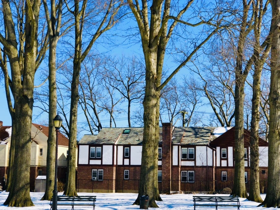 IMG_4010.jpg?type=w966