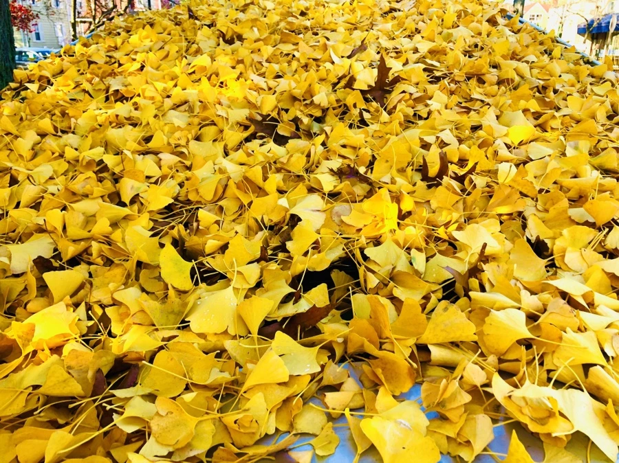 IMG_4664.jpg?type=w966