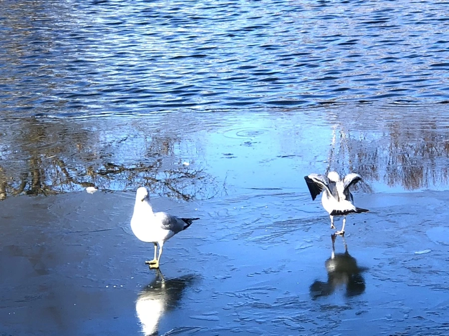 IMG_0588.jpg?type=w966