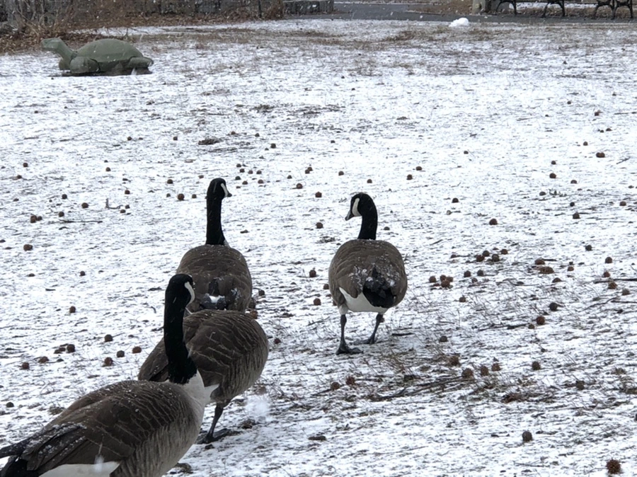 IMG_5928.jpg?type=w966