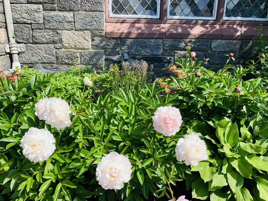 IMG_4710.jpg?type=w966