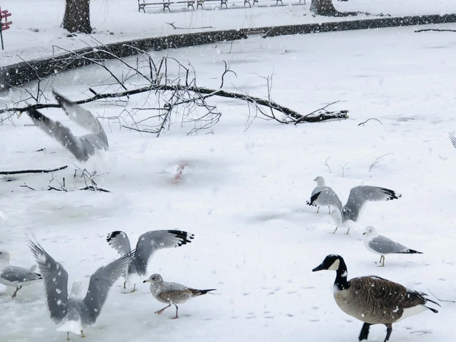 IMG_4171.jpg?type=w966