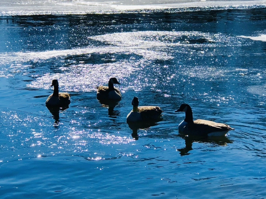 IMG_7778.jpg?type=w966