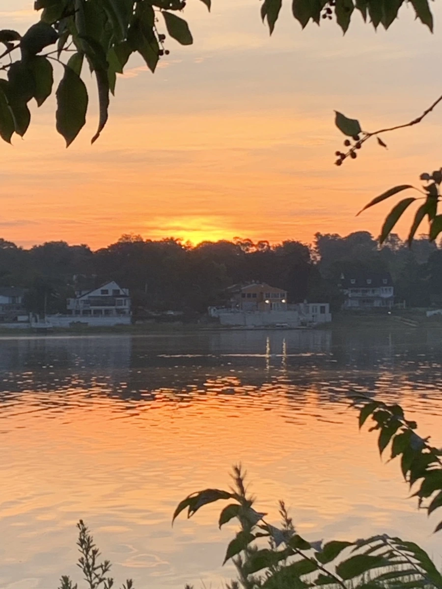 IMG_6798.jpg?type=w966