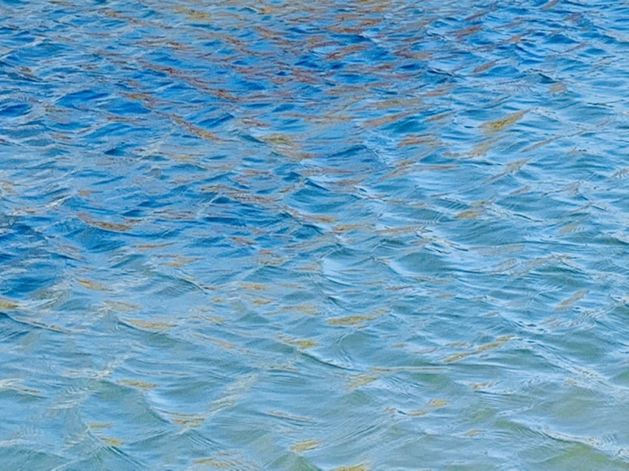 IMG_9893.jpg?type=w966