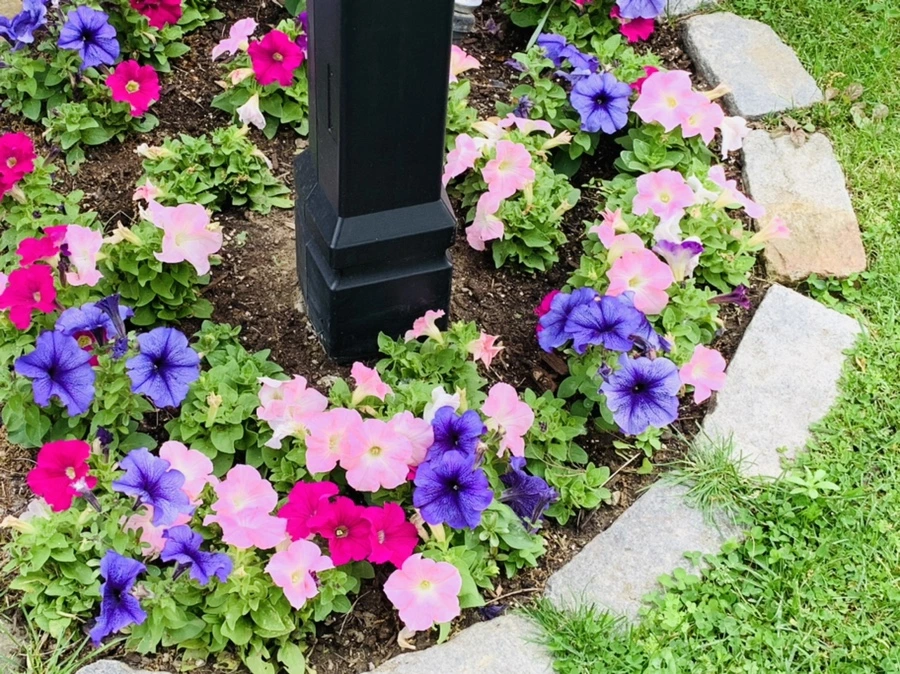 IMG_5443.jpg?type=w966