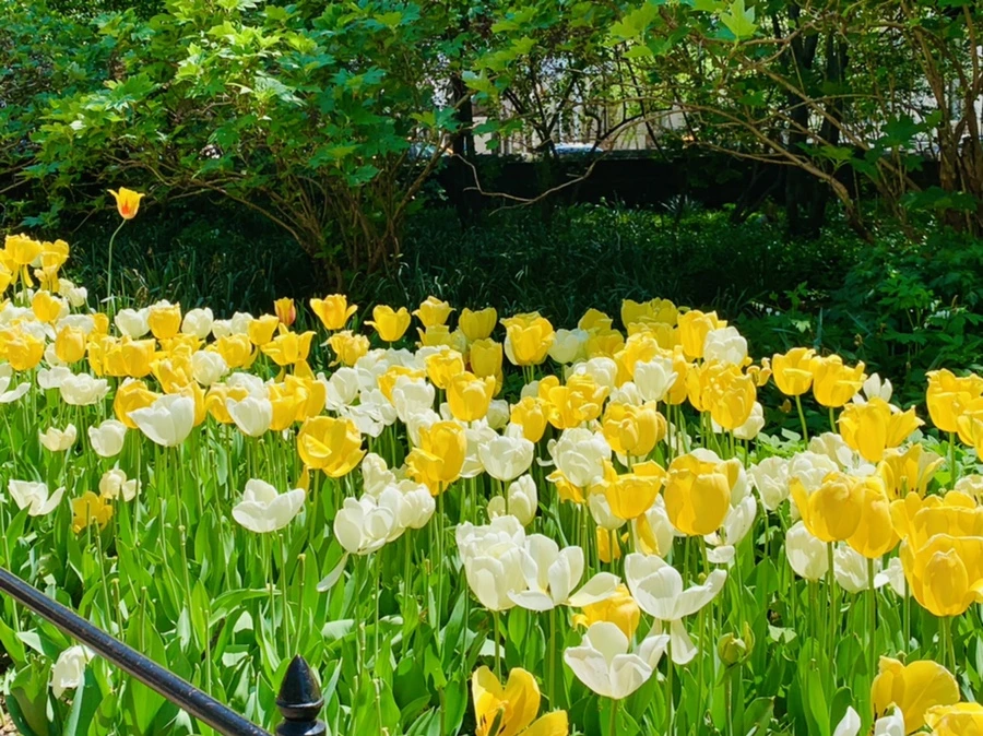 IMG_8826.jpg?type=w966