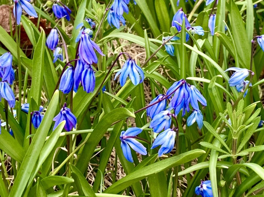 IMG_6769.jpg?type=w966