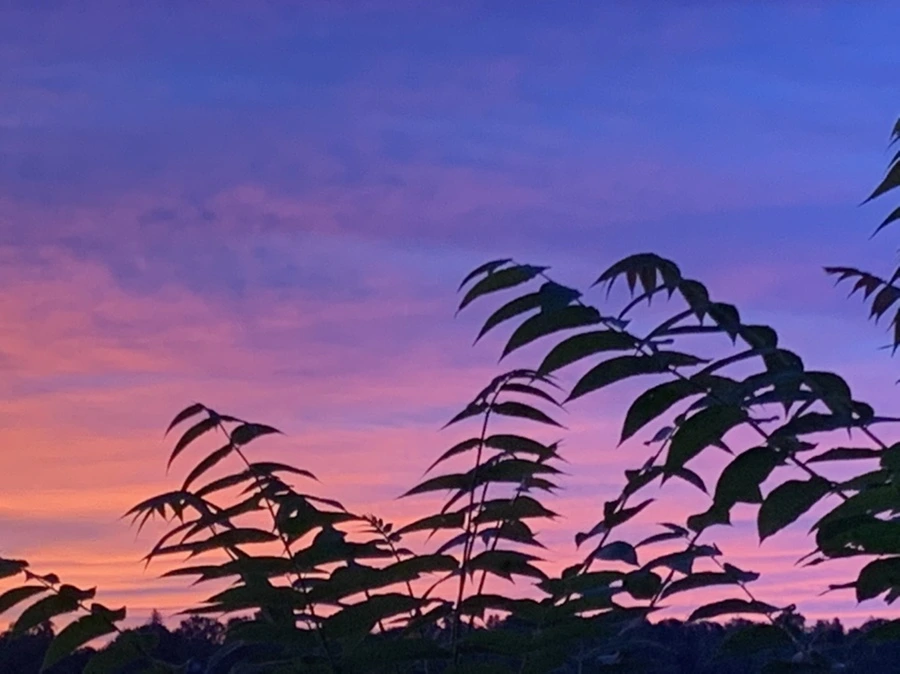 IMG_5823.jpg?type=w966