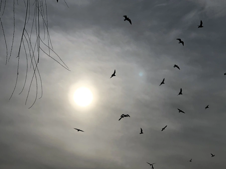 IMG_1995.jpg?type=w966