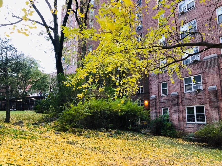 IMG_7743.jpg?type=w966