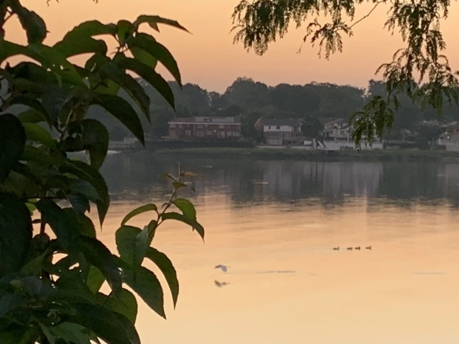 IMG_4361.jpg?type=w966