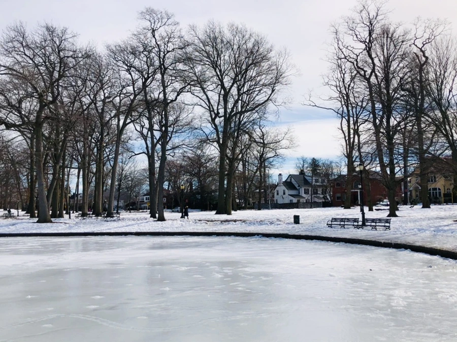 IMG_3091.jpg?type=w966