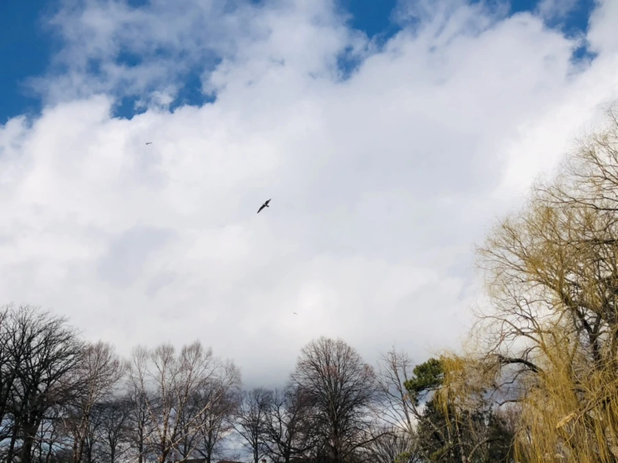 IMG_3510.jpg?type=w966