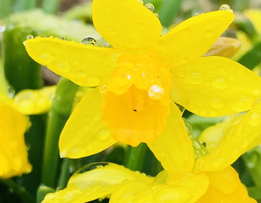 IMG_3712.jpg?type=w966