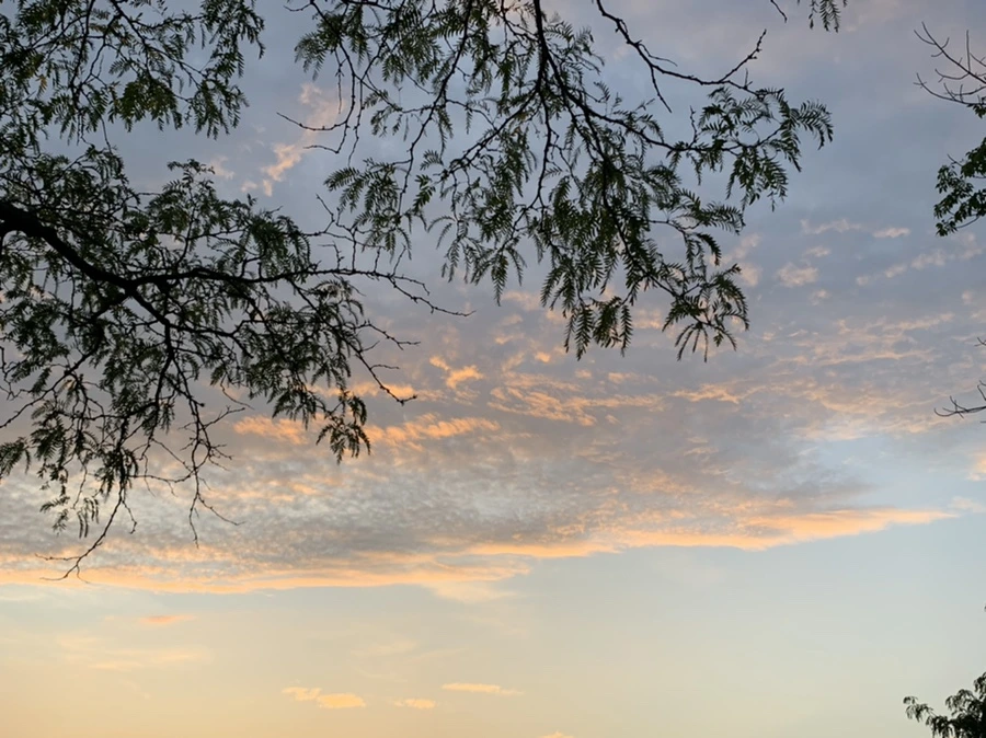 IMG_1209.jpg?type=w966