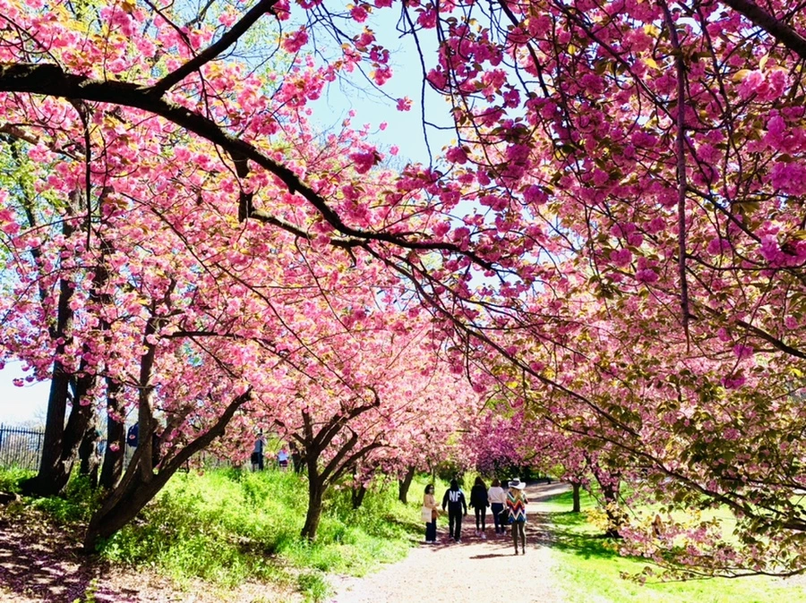 IMG_5977.jpg?type=w966