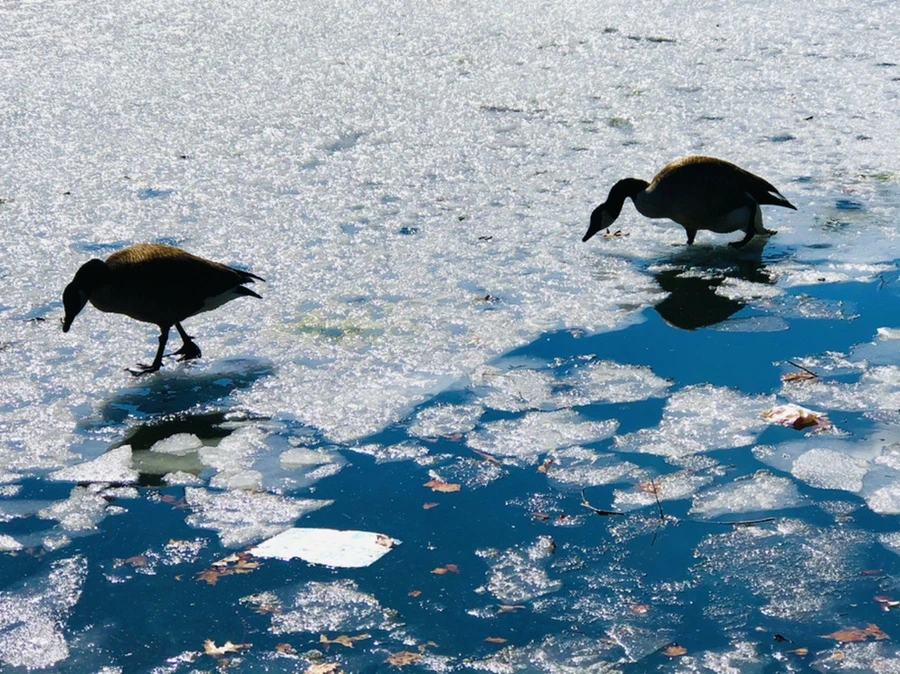 IMG_5082.jpg?type=w966