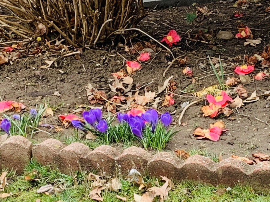 IMG_3775.jpg?type=w966