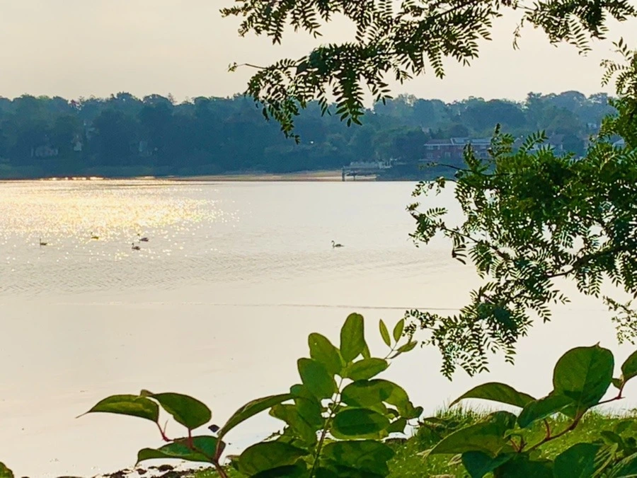 lDA_D49954di1cfAZevpBEUpU4M