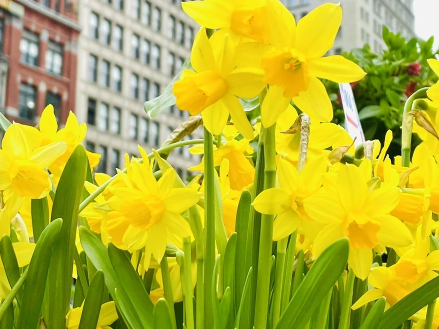 IMG_2489.jpg?type=w966