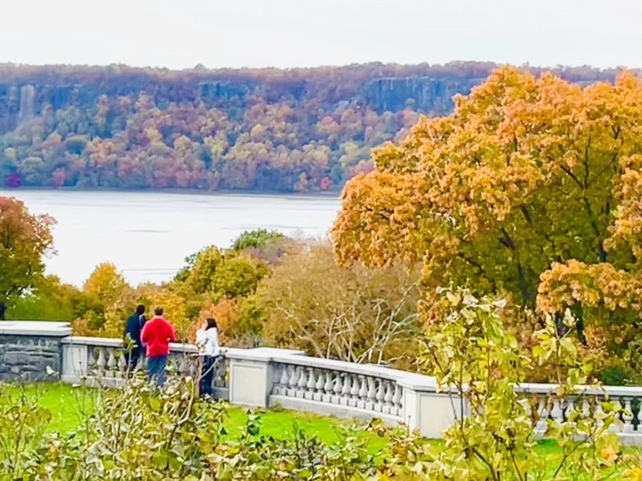 IMG_2334.jpg?type=w966