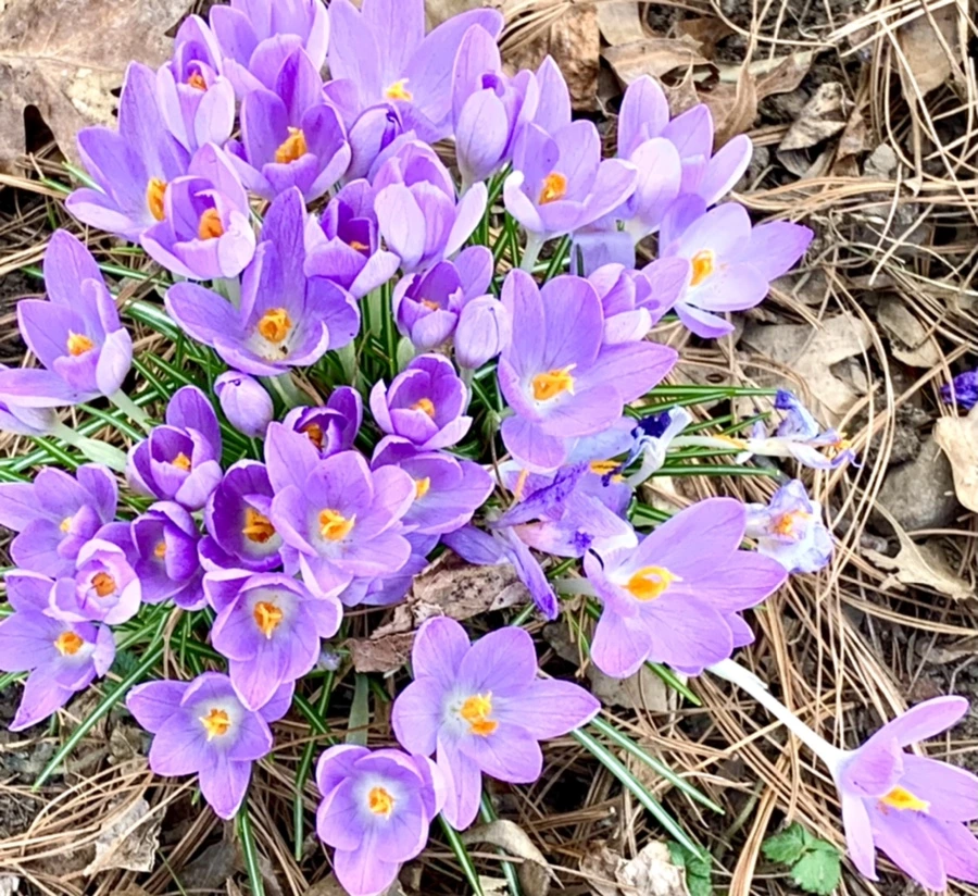 IMG_1257.jpg?type=w966