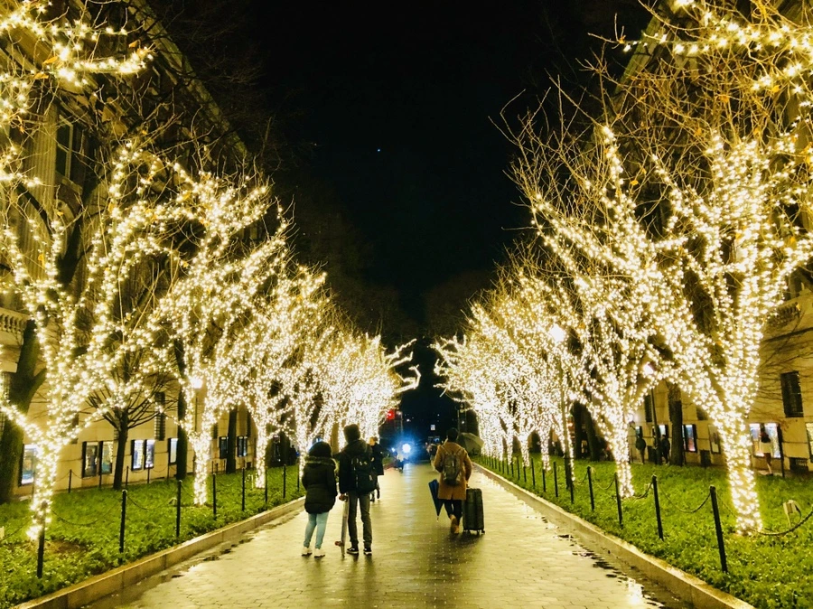 IMG_2462.jpg?type=w966