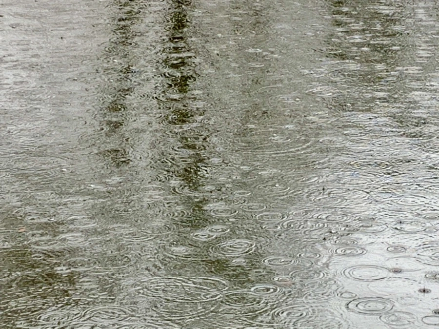 IMG_2101.jpg?type=w966