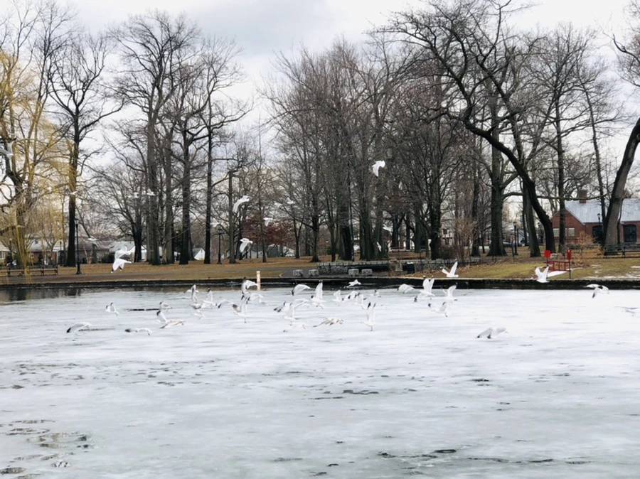 IMG_6470.jpg?type=w966