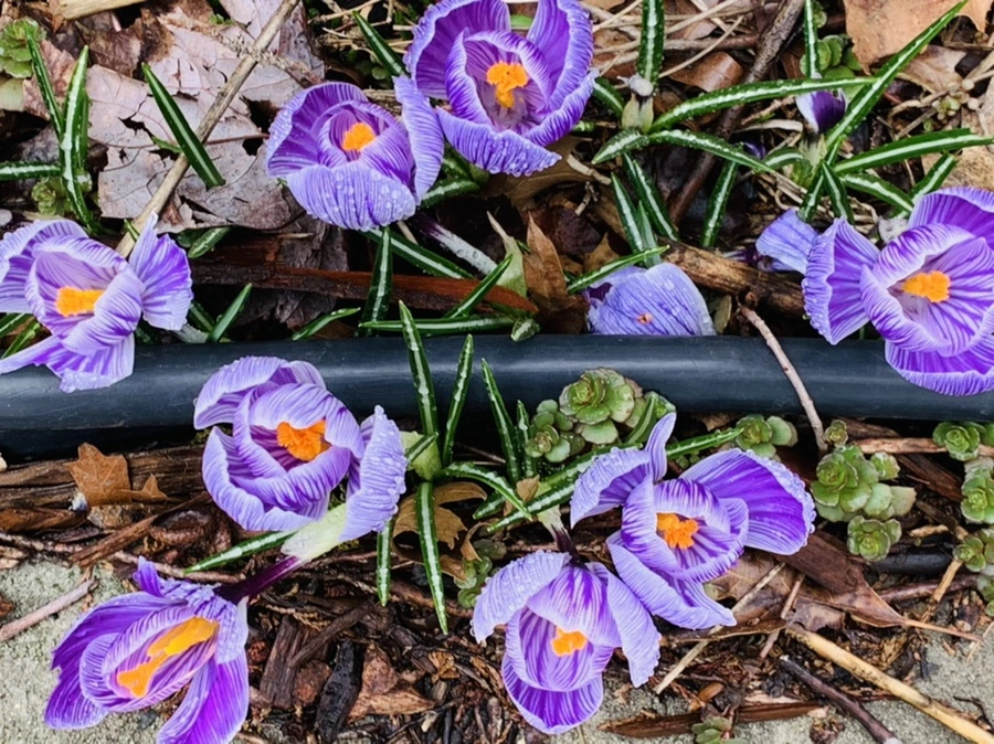 IMG_3760.jpg?type=w966