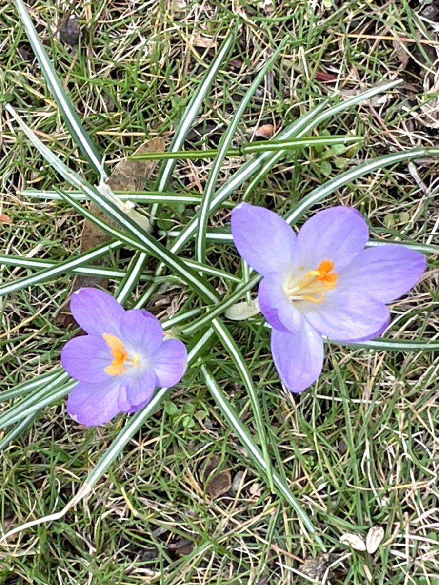 IMG_4077.jpg?type=w966