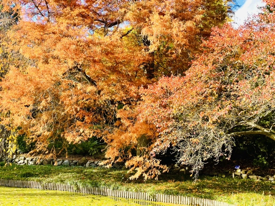 IMG_3168.jpg?type=w966