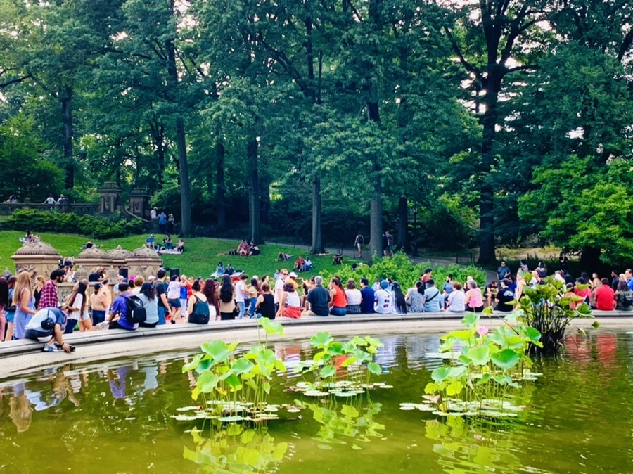 IMG_0638.jpg?type=w966